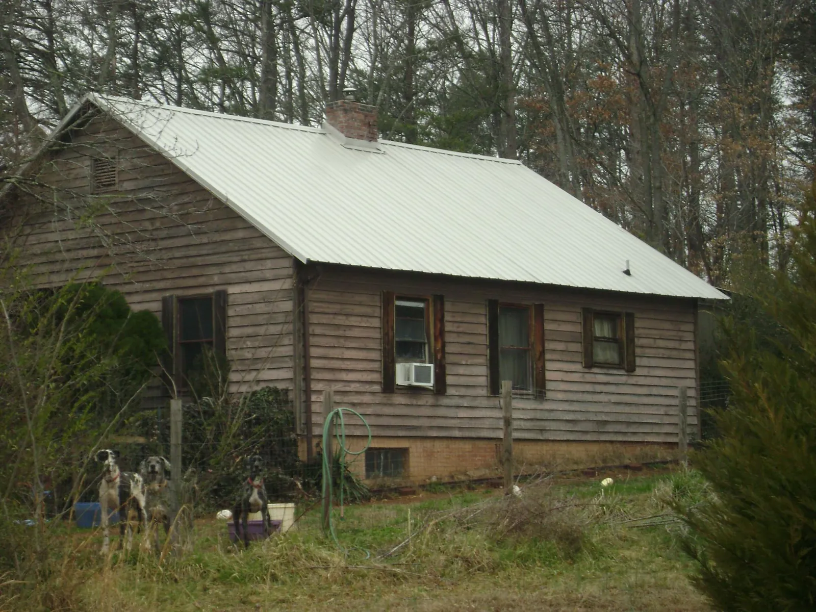 White metal roof on an old wood sided farmhouse, from a Asphalt Shingle Roof Repair job in South Chatham